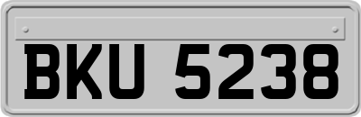 BKU5238