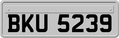 BKU5239