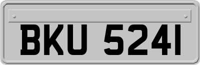 BKU5241