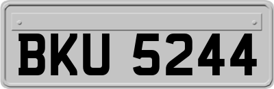 BKU5244