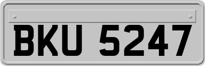 BKU5247