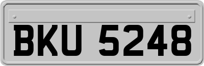 BKU5248