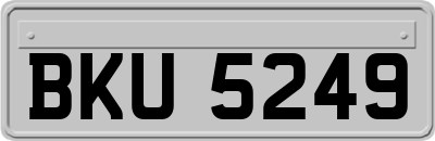 BKU5249