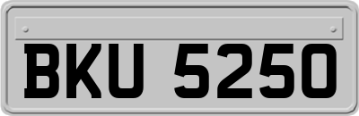 BKU5250