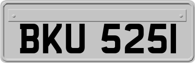 BKU5251