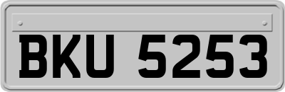 BKU5253