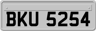 BKU5254