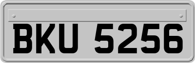 BKU5256