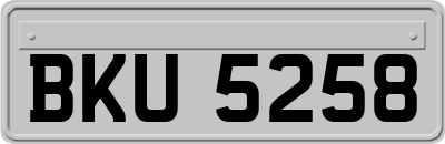 BKU5258