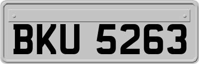 BKU5263