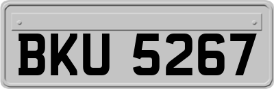 BKU5267