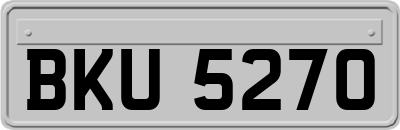 BKU5270