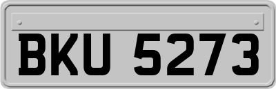 BKU5273