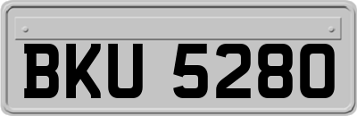 BKU5280
