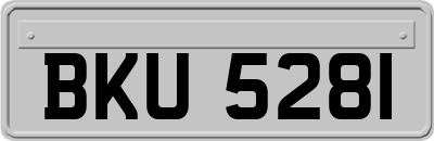 BKU5281