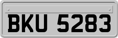 BKU5283