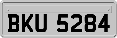 BKU5284