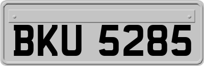 BKU5285