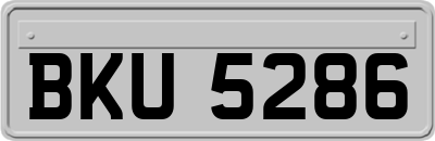 BKU5286