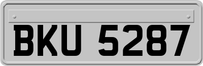 BKU5287