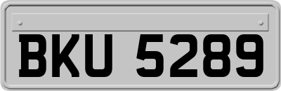 BKU5289