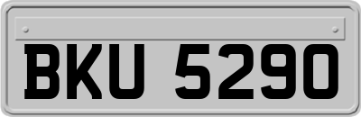 BKU5290