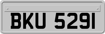 BKU5291
