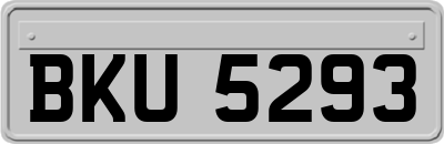 BKU5293