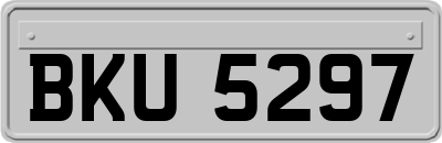 BKU5297