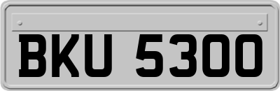 BKU5300