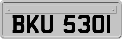 BKU5301