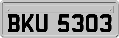 BKU5303
