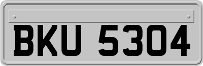 BKU5304
