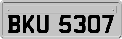 BKU5307