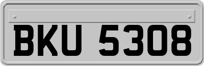 BKU5308