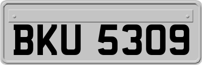BKU5309