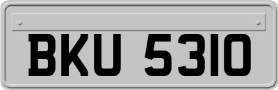 BKU5310