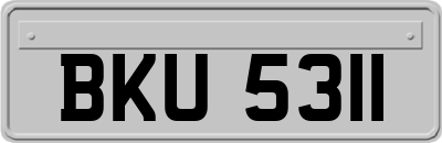 BKU5311