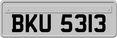 BKU5313
