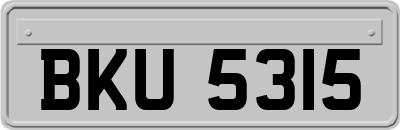 BKU5315