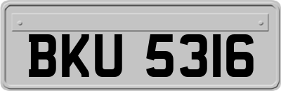 BKU5316