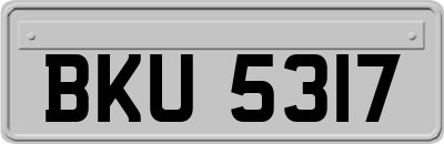 BKU5317