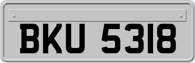 BKU5318
