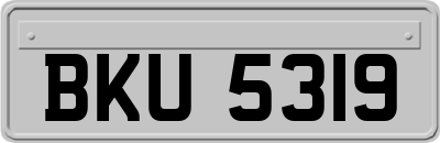 BKU5319