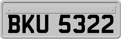 BKU5322