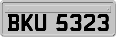 BKU5323