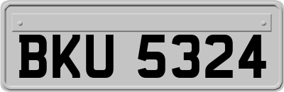 BKU5324