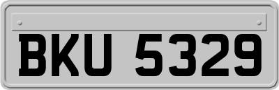 BKU5329