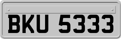 BKU5333