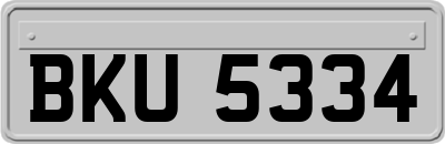 BKU5334
